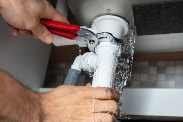 Best Flooded house restoration  in Ben Avon, SC