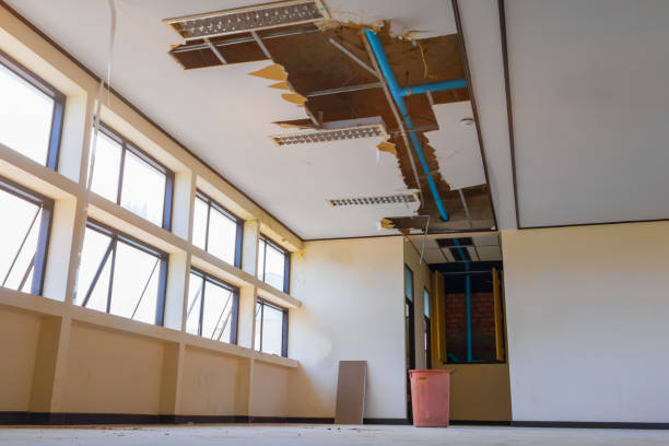 Best Emergency water damage restoration  in Ben Avon, SC