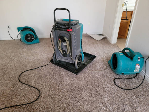 Best Water damage restoration cost  in Ben Avon, SC