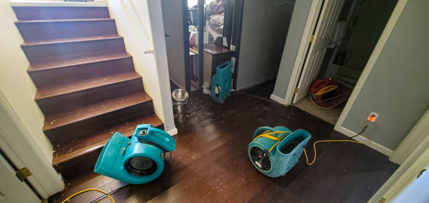 Best Water damage restoration near me  in Ben Avon, SC