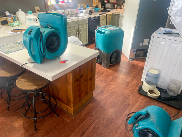 Best Basement water damage restoration  in Ben Avon, SC