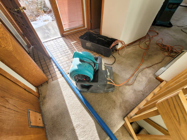 Best Commercial water damage restoration  in Ben Avon, SC