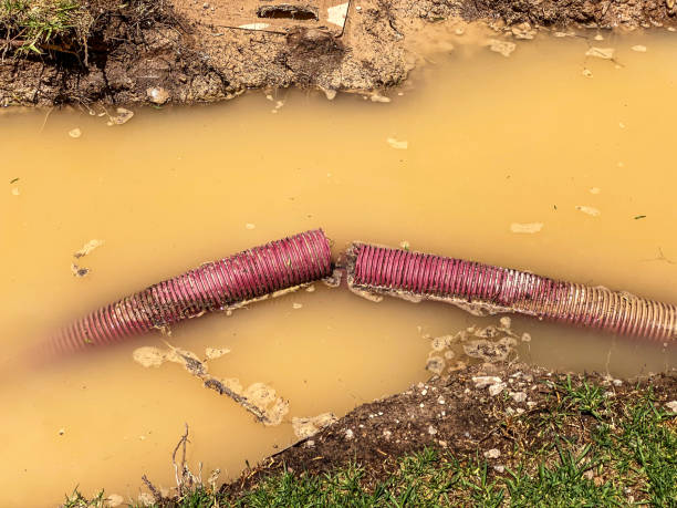 Best Water damage contractors near me  in Ben Avon, SC