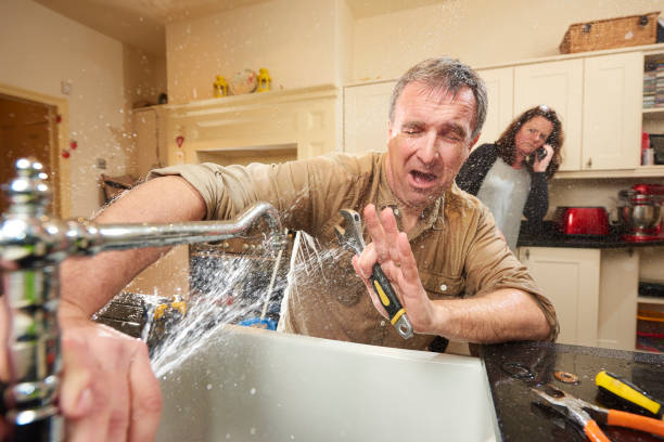 Best Ceiling water damage repair  in Ben Avon, SC
